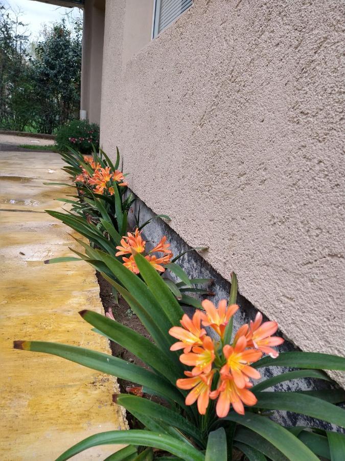 Orange Apartment Rio Cuarto Exterior photo